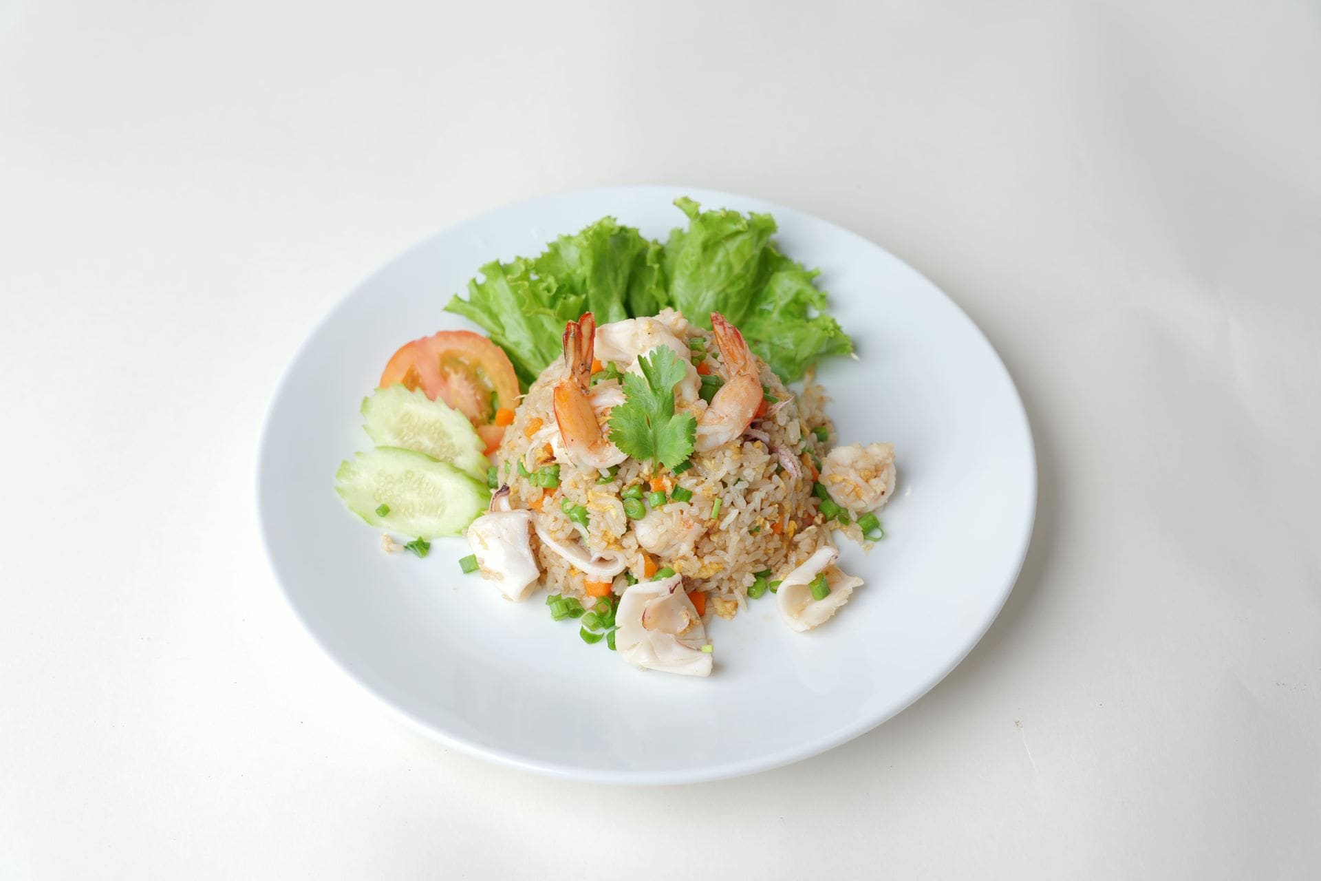 Food Dish
