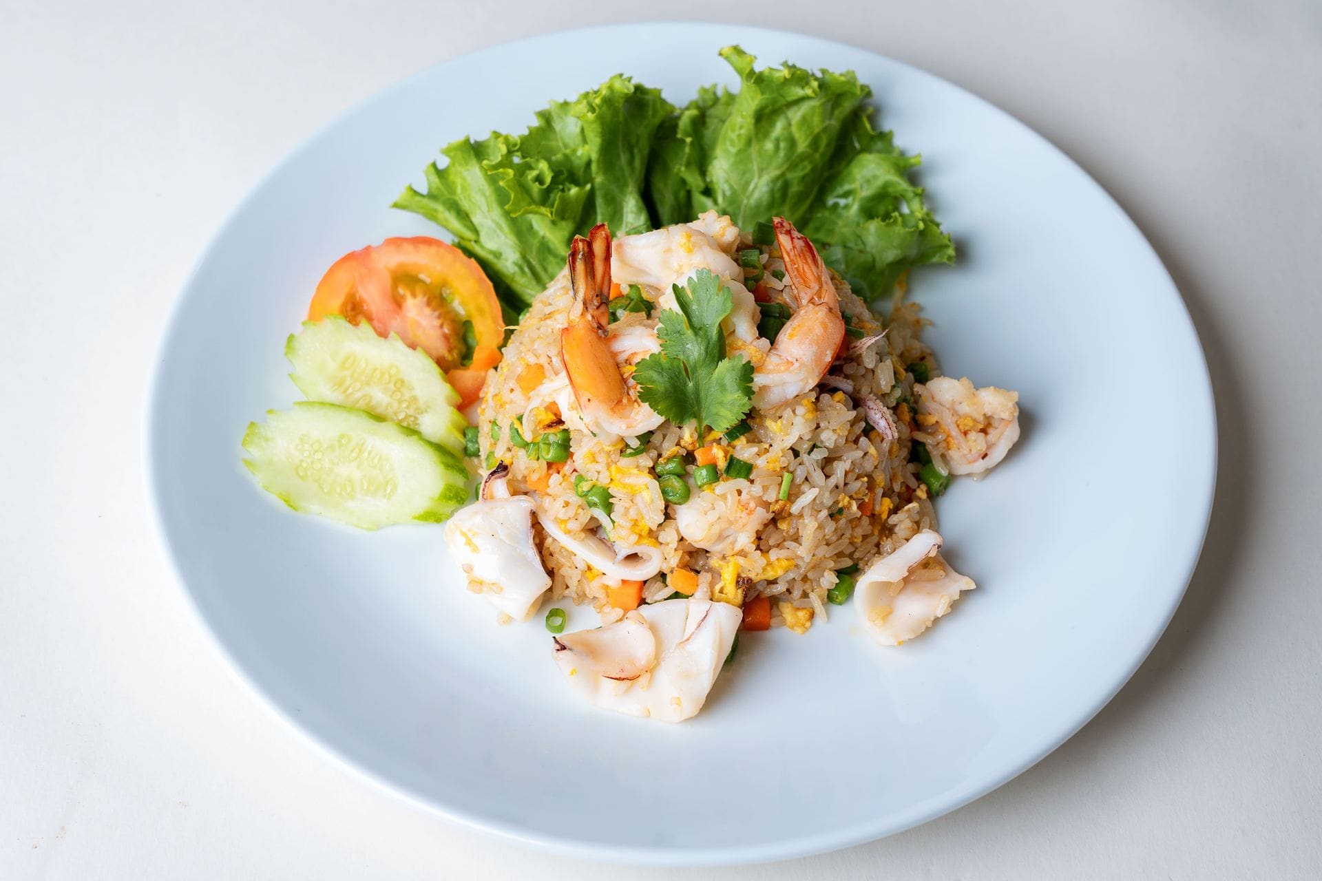 Food Dish