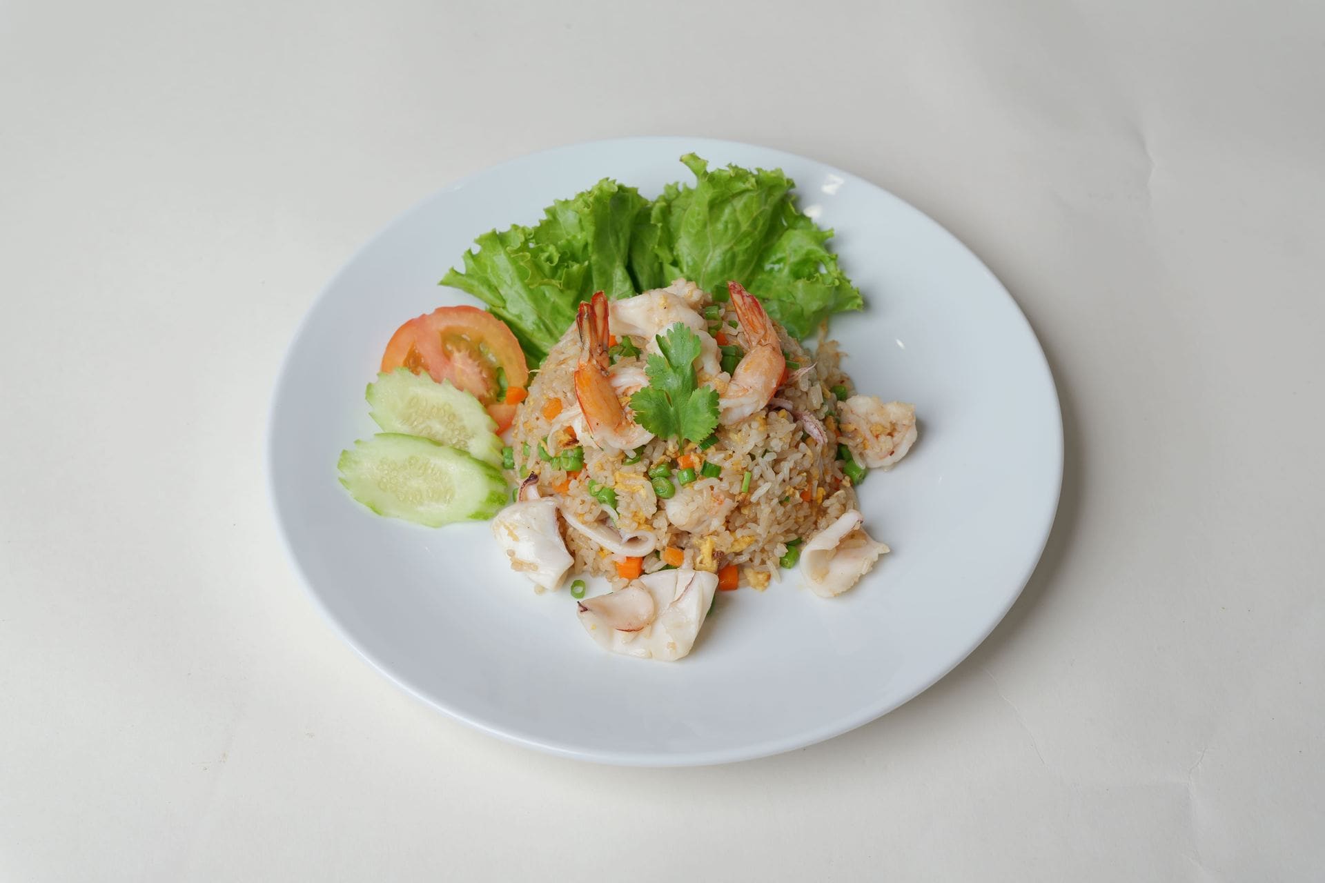 Food Dish