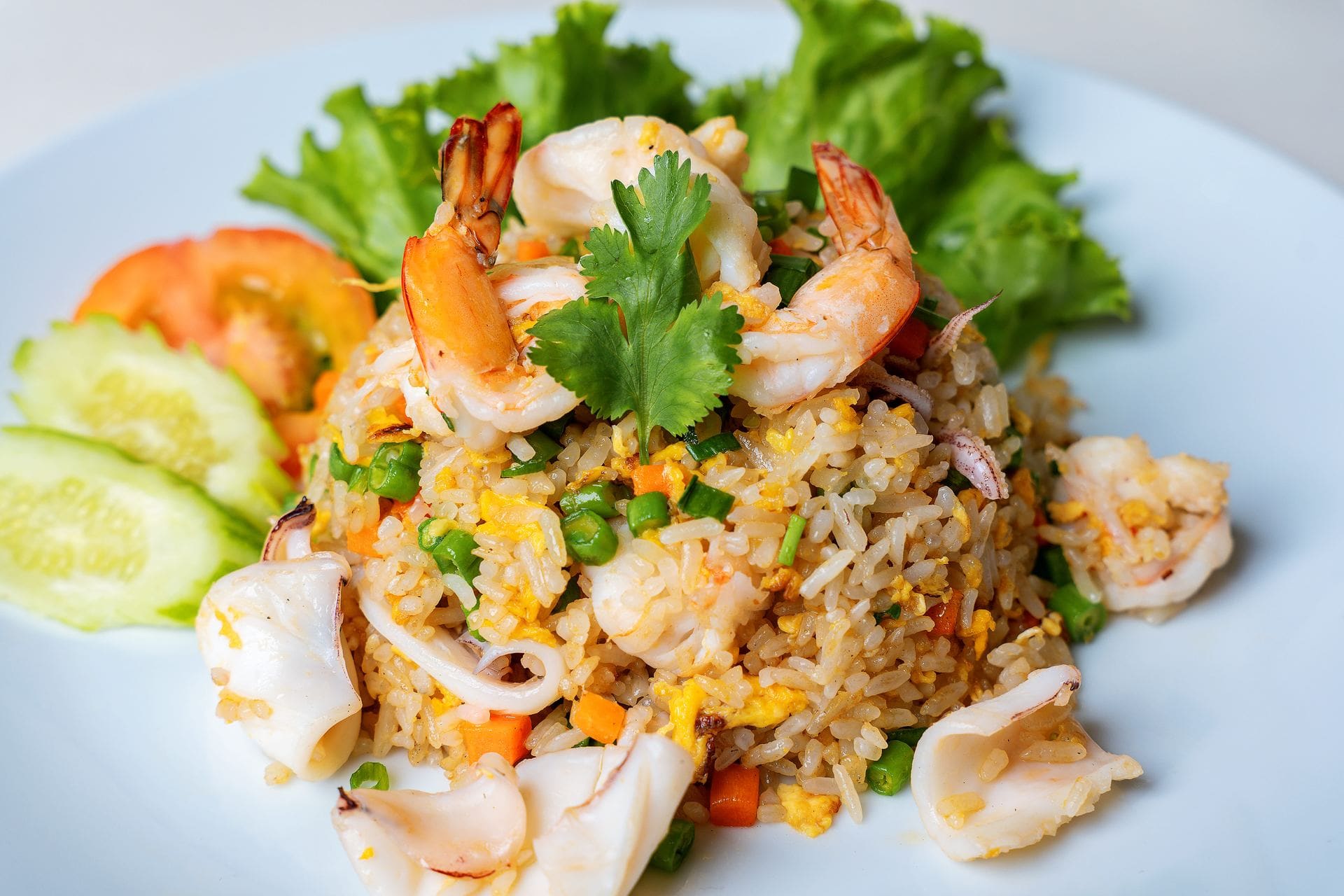 Food Dish