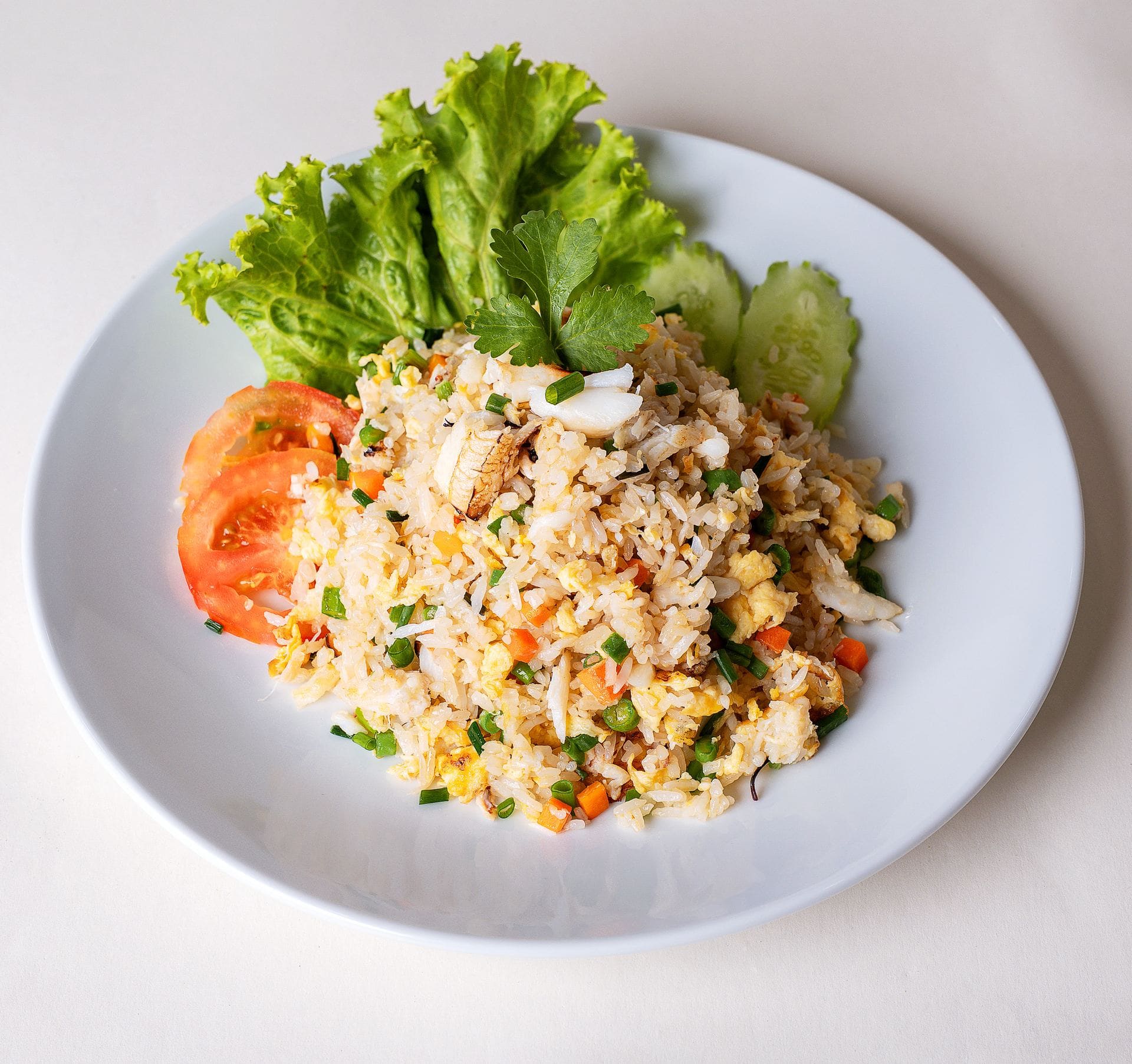 Food Dish
